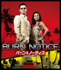 Burn Notice Coffrets DVD des 7 saisons de Burn Notice + Intgrale de la srie 