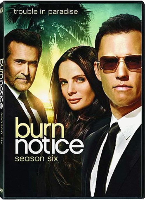 Coffret DVD Burn Notice Saison 6