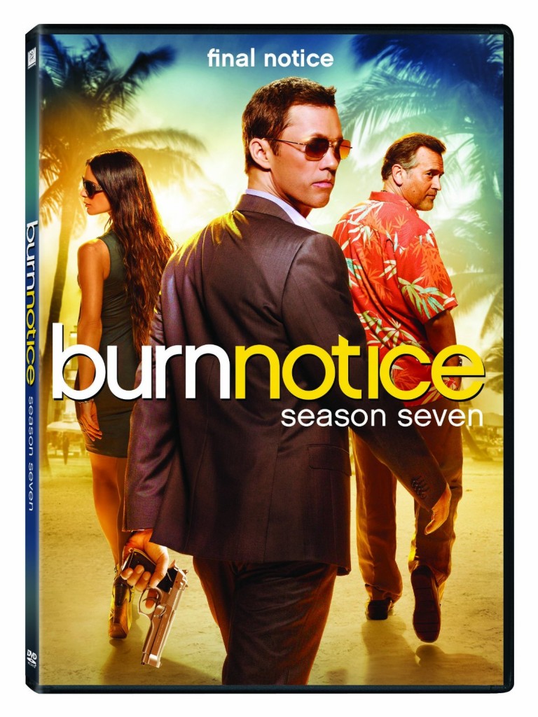 Coffret DVD Burn Notice Saison 7