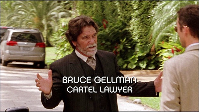 Bruce Gellman Cartel Lawyer